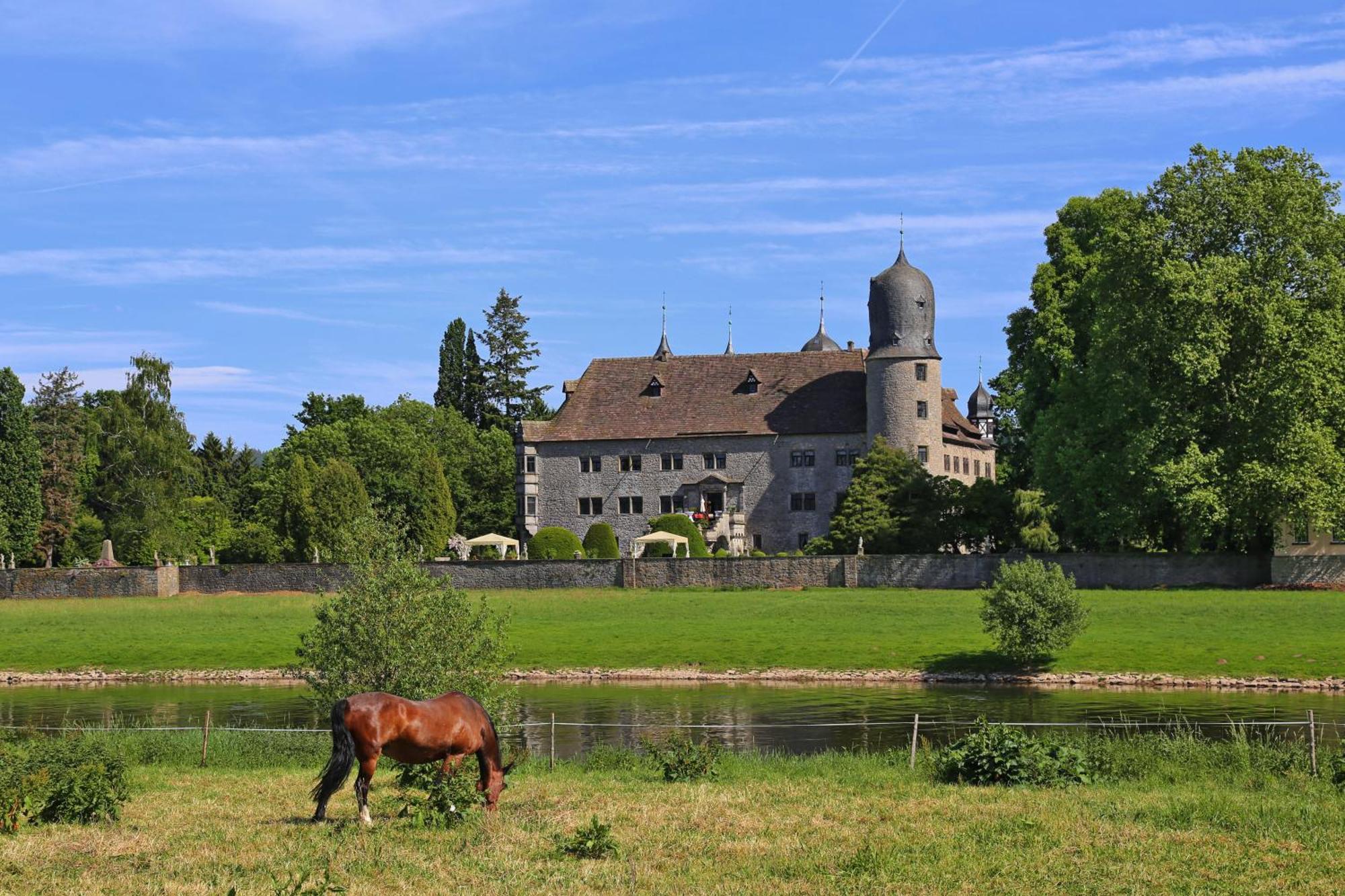 Ferienwohnungen Am Weserstrand Bodenwerder Exterior photo